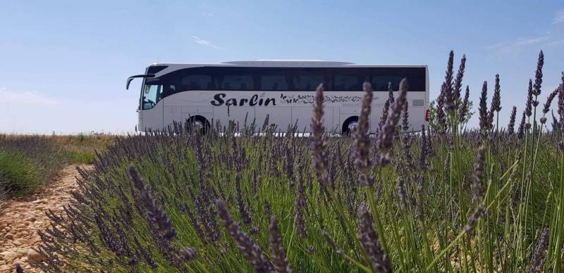 Les autocars SARLIN aux plateaux de lavande