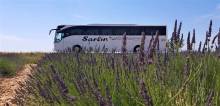Notre zone d'activité pour ce service Visiter les champs de lavande ou de tournesol en autocar